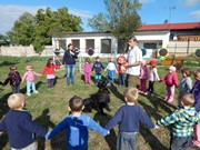 Sorbon - pes fotbalista